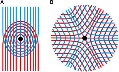 Braiding Dynamics in Active Nematics